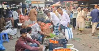 সবজির উৎপাদন খরচ বাড়ায় অস্বস্তিতে টাঙ্গাইলের কৃষকরা